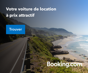 Car Rental